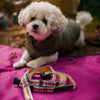 Adjustable Hands-Free Tether Leash 3/4''
