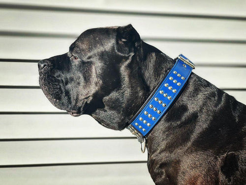 Star collar