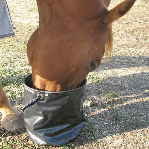 Cashel Collapsible Water Pail