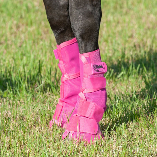 Cashel Crusader Horse Fly Boots Contoured Fit Leg Guards, Set of 2