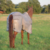 Cashel Economy Standard Neck Fly Sheet for Horses - Lightweight, UV & Insect Protection