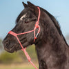 Cashel Flat Braid Pony Halter