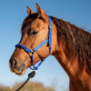 Cashel Nylon and Rope Halter
