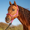 Cashel Nylon and Rope Halter