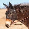 Cashel Quiet-Ride Fly Mask with Ears for Mules & Donkeys, Riding Comfort