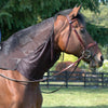Cashel Quiet Ride Hood for Horses, Lightweight Fly Protection Hood