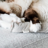 Boba & Vespa Cat Kicker Toy for Bunny Kicks  - DOGS love it too!