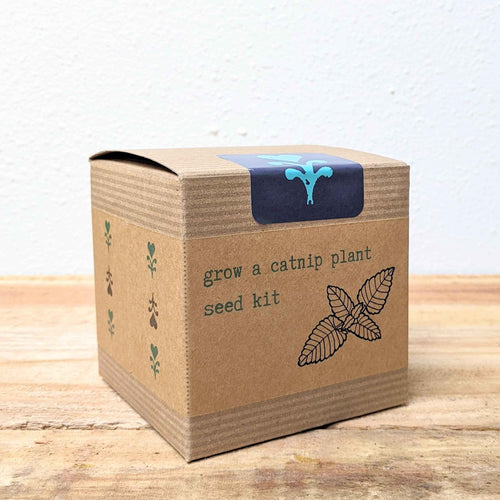 Catnip Beginner Grow Kit