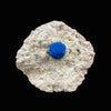 Cavansite Deep Blue on Heulandite Matrix Natural Mineral Specimen # DK183