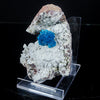 Cavansite on Heulandite (Rare Find) Natural Mineral Specimen # B 7040
