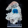 Cavansite on Heulandite (Rare Find) Natural Mineral Specimen # B 7040