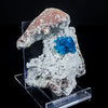 Cavansite on Heulandite (Rare Find) Natural Mineral Specimen # B 7040