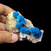 Cavansite on Heulandite (Rare Find) Natural Mineral Specimen USA # B 6926
