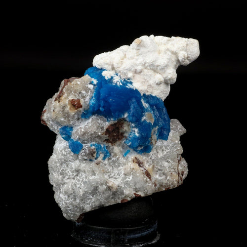 Cavansite on Modernite (Rare Find) Natural Mineral Specimen # B 6707