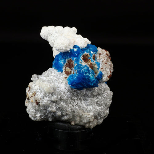 Cavansite on Modernite (Rare Find) Natural Mineral Specimen # B 6707