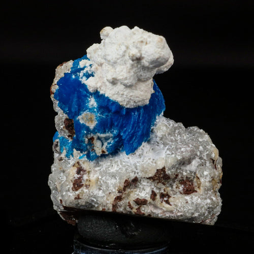 Cavansite on Modernite (Rare Find) Natural Mineral Specimen # B 6707