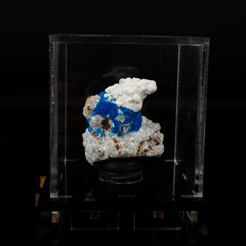 Cavansite on Modernite (Rare Find) Natural Mineral Specimen # B 6707