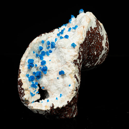 Cavansite on Modernite (Rare Find) Natural Mineral Specimen # B 6759