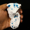 Cavansite on Modernite (Rare Find) Natural Mineral Specimen # B 6761