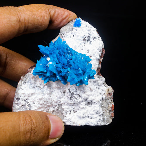 Cavansite on Mordenite (Rare Find) Natural Mineral Specimen  # B 7023