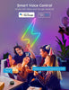 12V24V Bluetooth WIFI5 M RGBIC Colorful Music Neon Light