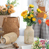 Straw Glass Vase Flower Arrangement Living Room Decoration