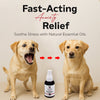 Essential Oil Dog Calming Spray