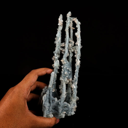 Chalcedony Coral Natural Mineral Specimen # B 6129