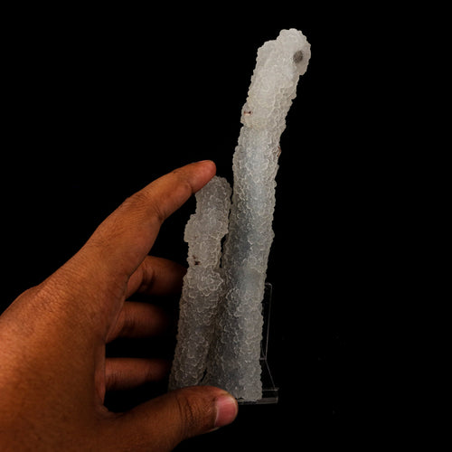 Chalcedony Coral Natural Mineral Specimen # B 6170