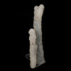 Chalcedony Coral Natural Mineral Specimen # B 6170