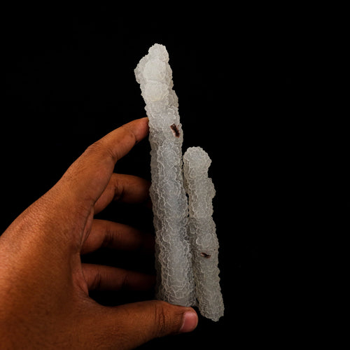 Chalcedony Coral Natural Mineral Specimen # B 6170