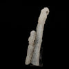 Chalcedony Coral Natural Mineral Specimen # B 6170