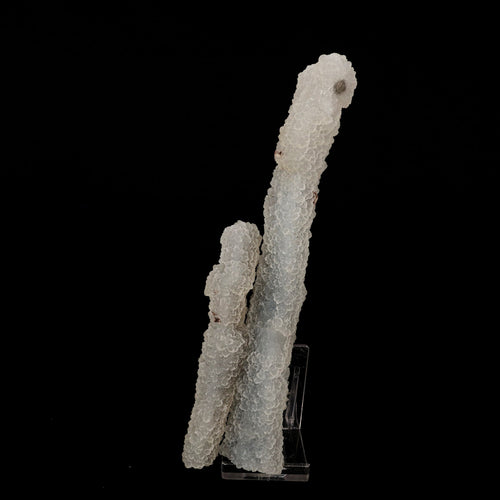 Chalcedony Coral Natural Mineral Specimen # B 6170