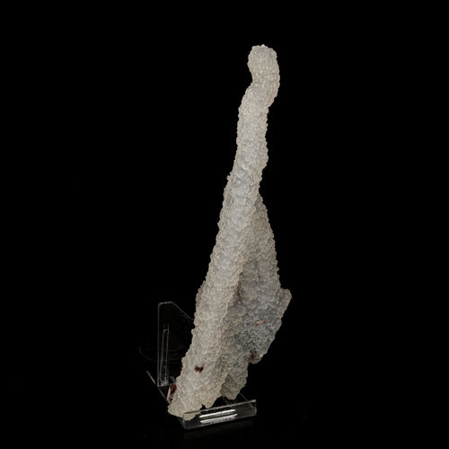 Chalcedony Coral Natural Mineral Specimen # B 6172