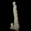 Chalcedony Coral Natural Mineral Specimen # B 6174