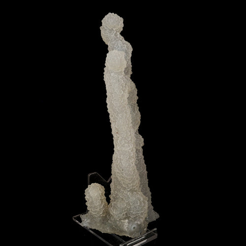 Chalcedony Coral Natural Mineral Specimen # B 6174