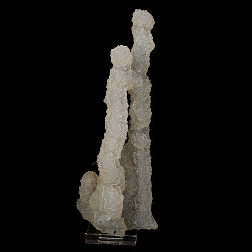 Chalcedony Coral Natural Mineral Specimen # B 6174