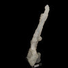 Chalcedony Coral Natural Mineral Specimen # B 6176