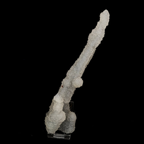 Chalcedony Coral Natural Mineral Specimen # B 6176