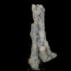 Chalcedony Coral Natural Mineral Specimen # B 6179