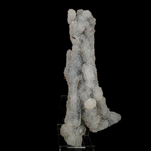 Chalcedony Coral Natural Mineral Specimen # B 6179