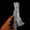 Chalcedony Coral Natural Mineral Specimen # B 6179
