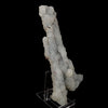 Chalcedony Coral Natural Mineral Specimen # B 6179