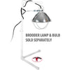 Chick Brooder Kit