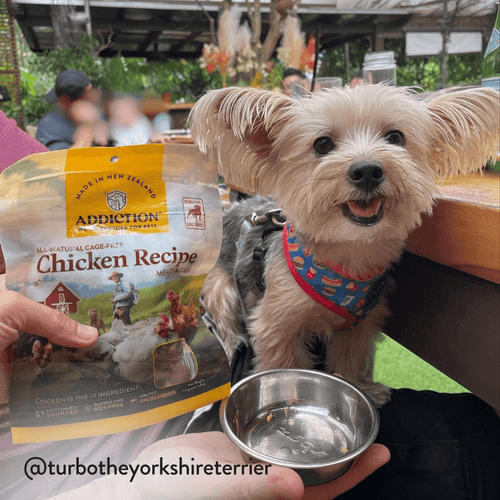 Chicken Meaty Bites - Hypoallergenic Dog Treats