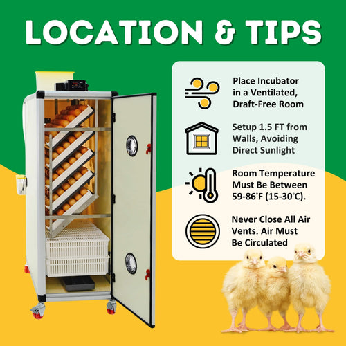 HB500 C - Combined Egg Incubator and Hatcher