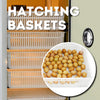 HB500 H - Fully Automatic Egg Hatcher