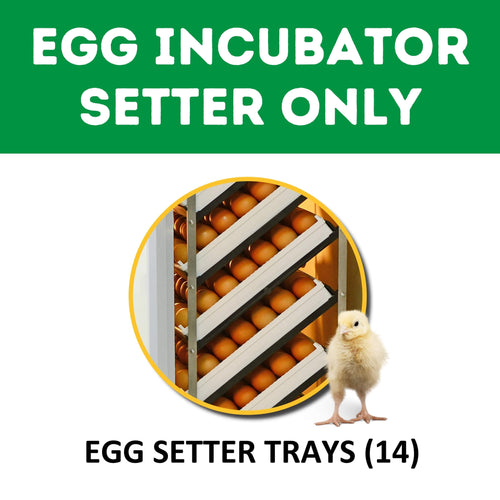 HB500 S - Automatic Setter Egg Incubator