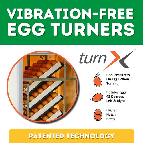 HB500 S - Automatic Setter Egg Incubator