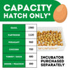 HB700 H - Fully Automatic Egg Hatcher